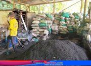 Si Hitam Ramah Lingkungan dari Karanganyar: Arang Briket Sewurejo Kian Diburu Pembeli