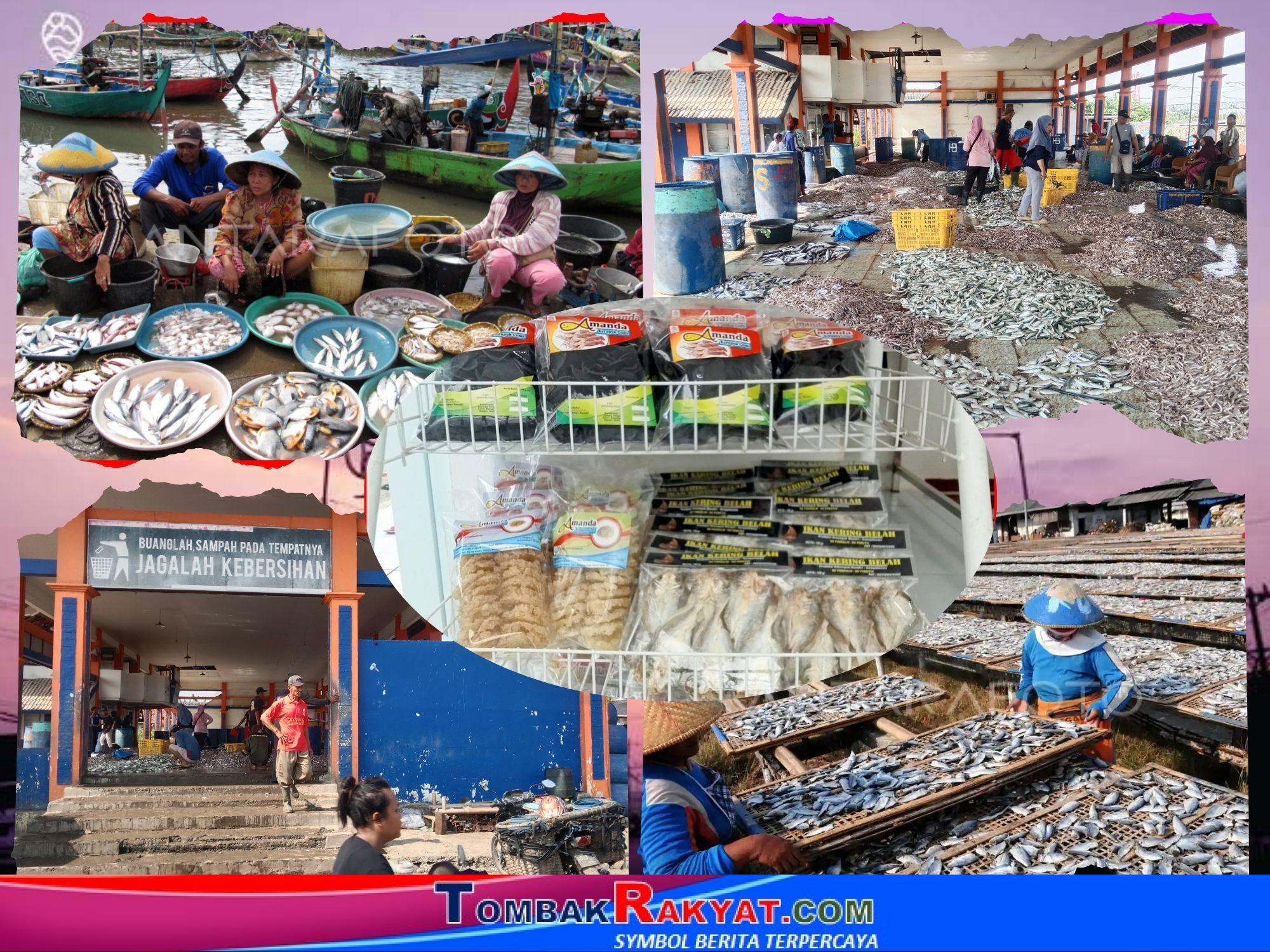 Kesibukan di Tempat Pelelangan Ikan, Penjemuran Ikan Asin Hasil Olahan Ikan dan Cumi