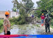 Klaten Diterjang Badai, Babinsa dan Warga Bersinergi Buka Akses Jalan yang Tertutup Pohon