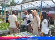 BELAJAR DI USIA SENJA : FORMADES DPC KARANGANYAR  GELAR PELATIHAN HIDROPONIK