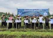 Kendal Jadi Tulang punggung Bawang Merah Jateng, Produksi Capai 25 Ribu Ton