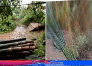 DARURAT Abrasi Kali Kuto: Gotong Royong Warga Tegalrejo Terhenti Hujan, Talud Retak Tinggal 50 cm dari Bibir Sungai