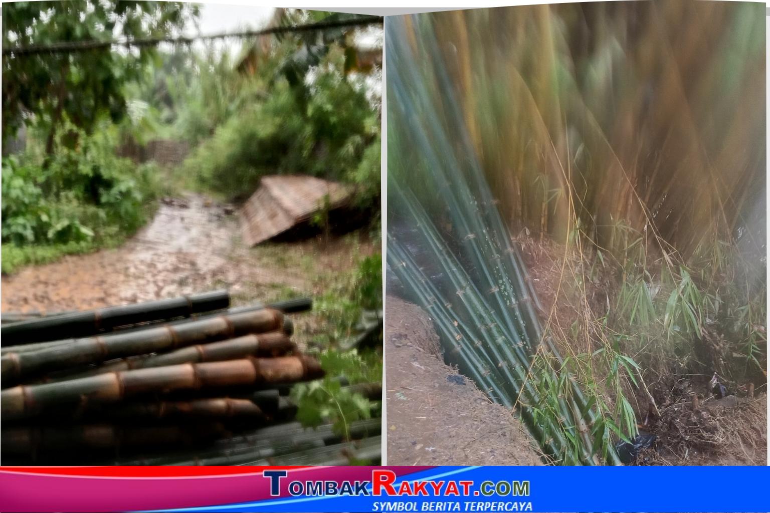 Sasak dan Pancang Bambu hasil sawadaya masyarakat bersama Kepala Desa, dan pancang bambu yang siap pasang namun terhenti akibat hujan deras