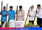 Indonesia Ukir Sejarah Resmi Swasembada Pangan 2025, Presiden Prabowo: “Tidak Ada Bangsa Merdeka Kalau Pangan Tergantung Bangsa Lain!”