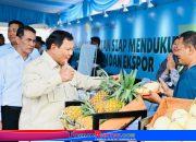 “Merdeka Pangan”: Presiden Prabowo Umumkan Indonesia Resmi Swasembada Pangan, Lampaui Target 3 Tahun