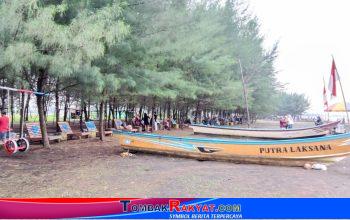 Cirikhas Pantai Sendang Asih, rimbun pepohonan cemara, hamparan pasir pantai dan perahu tradisional yang siap membawa pengunjung melihat pantai dari pinggiran laut Jawa