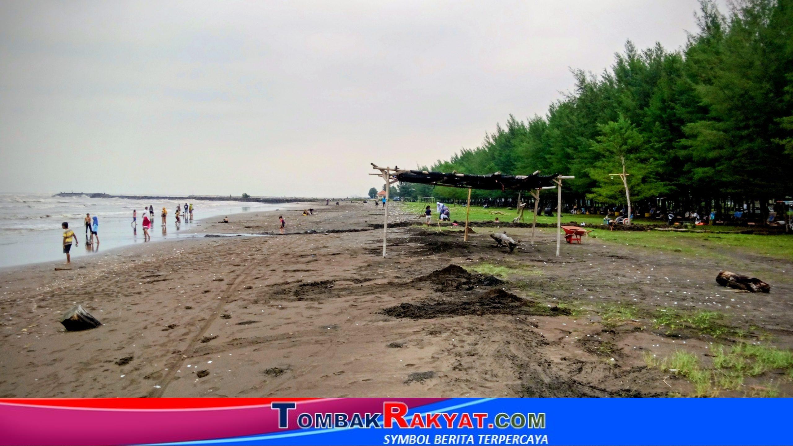 Air laut yang tenang dan hamparan pasir pantai yang dijaga ribuan pohon cemara, harmonisasi alam yang meneduhkan mata