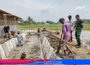 Babinsa Koramil 04/Banyuurip Dampingi Program Ketahanan Pangan di Desa Tegalrejo