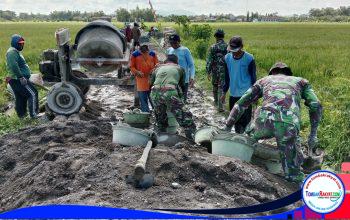 Sinergi TNI dan Warga Desa Mlese Klaten,  Kebut Betonisasi Jalan Pertanian Sepanjang 775 Meter