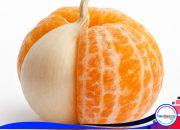 Menyesuaikan Diri atau Memaksakan Diri? Memahami Makna Kebersamaan yang Sejati