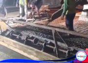 Diduga Persoalan Blokade Jalan Belum Tuntas, Pekerjaan CV Meteor Jaya di Ruas Turirejo–Palon–Nglobo Tetap Berjalan