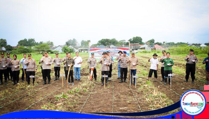 Bersama Petani dan Pemda, Polresta Cirebon Dukung Swasembada Pangan Lewat Penanaman Jagung