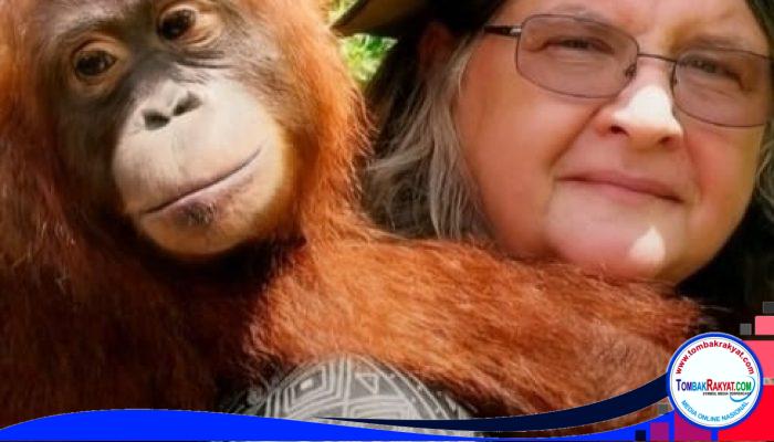 Birutė Mary Galdikas Telah Tiada, Orang Utan Kalimantan Kehilangan Ibu Rimbanya
