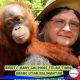 Birutė Mary Galdikas Telah Tiada, Orang Utan Kalimantan Kehilangan Ibu Rimbanya