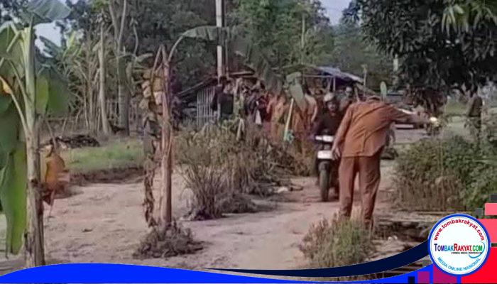 Warga Tanam Pisang di Jalan Rusak, Pemkab Indramayu Akhirnya Janjikan Betonisasi Rp3,5 Miliar