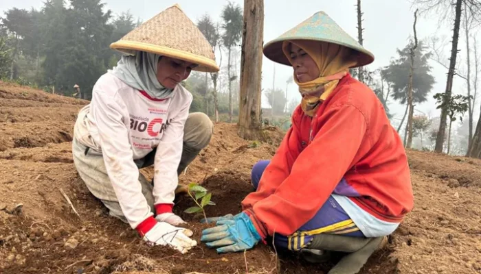 Semangat Kartini di Lereng Dieng: Perempuan Wonosobo Hijaukan Hulu Serayu Sambut Hari Bumi