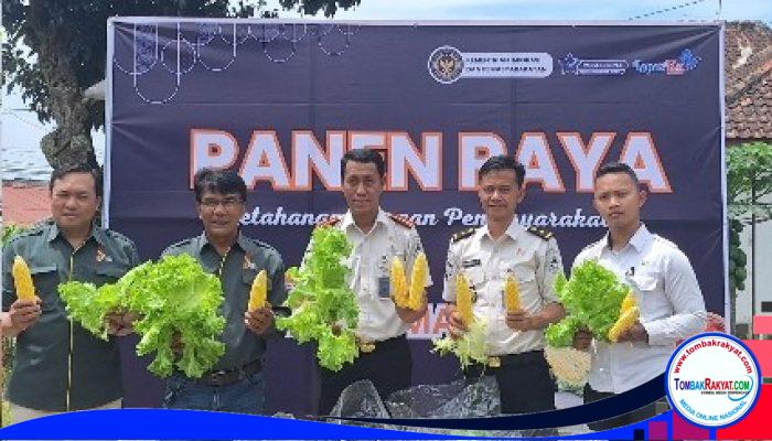 Panen Raya Lapas Kuningan, Langkah Nyata Wujudkan Warga Binaan Mandiri dan Produktif