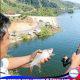Berburu Ikan Lampam di Danau Siais: Lebih Dari Sekedar Memancing