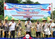 Sinergi Wujudkan Ketahanan Pangan, Polresta Cirebon Ikuti Panen Raya Jagung Serentak Bersama Presiden RI dan Kapolri