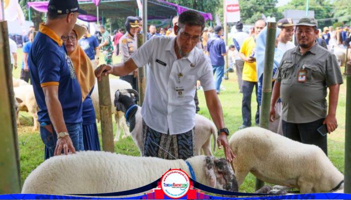 Pastikan Kelayakan Kurban, Sekda Jateng Tinjau Kesehatan Ternak di Tarubudaya