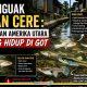 Ikan Cere: Imigran Amerika Utara yang Berkoloni di Got