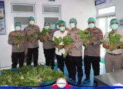 Polda Metro Jaya Panen 82 Kilogram Pakcoy untuk Dukung Program Makan Bergizi Gratis
