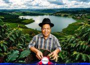 Danau di Atas Danau, Kopi Arabika Typica di Atas Bukit: Cerita Samosir yang Tak Selesai di Festival