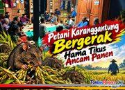 Keterangan Foto: Ilustrasi hasil rekayasa AI berdasarkan foto dokumentasi asli.