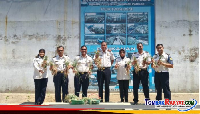 Dorong Kemandirian Warga Binaan, Kalapas Klaten Beserta Jajaran Panen Bawang Merah, Lobak, dan Ayam Pejantan