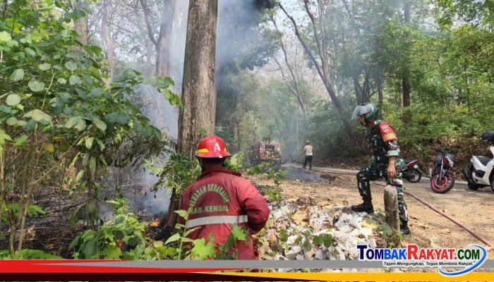 35 Personel Gabungan dan Warga Bergerak Padamkan Api Karhutla Darupono.