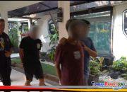 POLDA METRO JAYA BERHASIL MENGUNGKAP PEREDARAN 62,5 KILOGRAM GANJA, DI JAKARTA BARAT